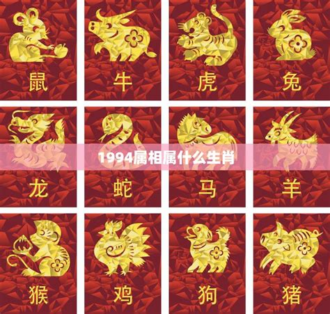 1994年屬什麼|1994年属什么生肖 和什么属相婚配最合适